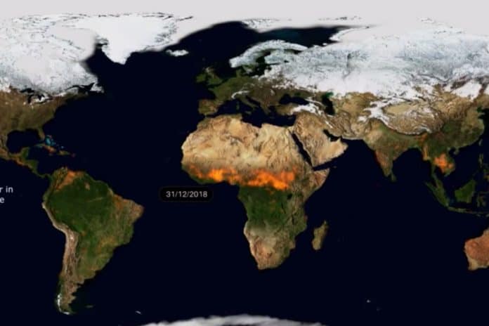 most-of-earth-on-fire kebakaran hutan