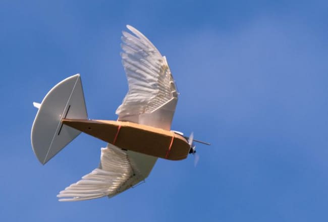 PigeonBot Robot burung merpati Robot Burung Merpati
