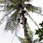 04_dukungan infrastruktur telekomunikasi Huawei Telkom