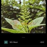 Tips Edit Foto Instagram Pakai VSCO (10)