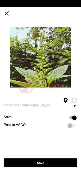 Edit Foto Instagram VSCO