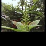 Tips Edit Foto Instagram Pakai VSCO (2)