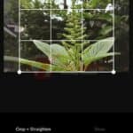 Tips Edit Foto Instagram Pakai VSCO (3)