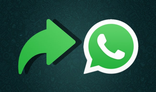 Forward Message WhatsApp