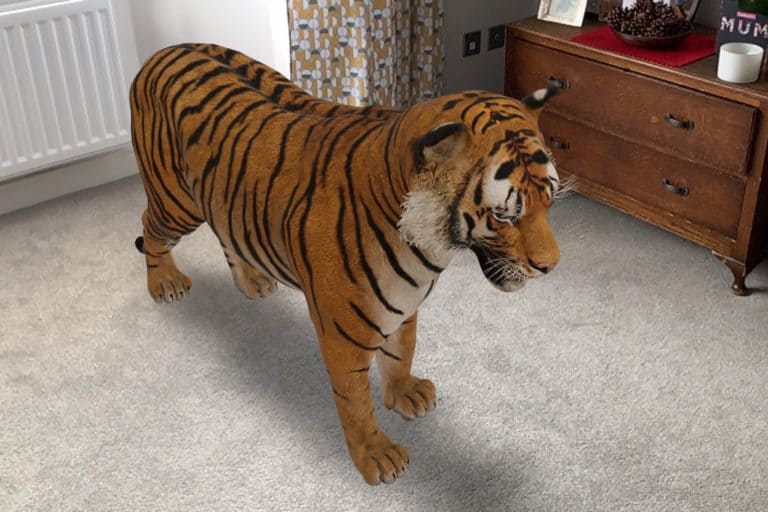 Google AR Binatang