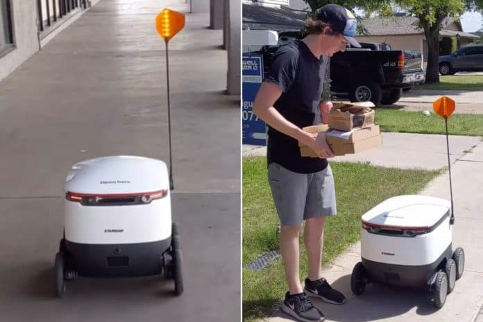 robot-delivery-1 antar pizza pakai robot
