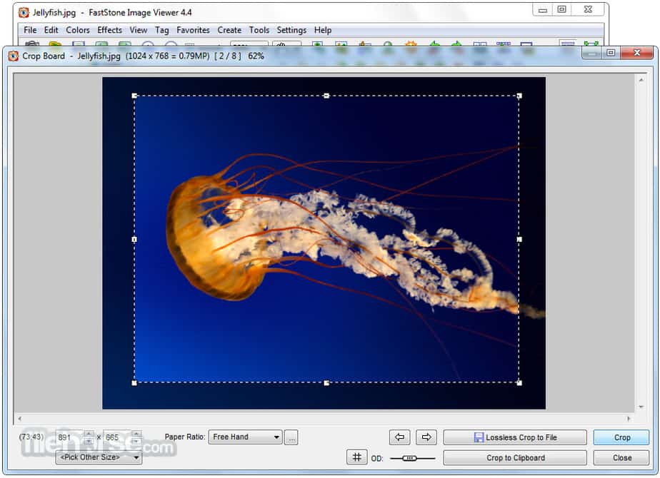 alternatif adobe photoshop