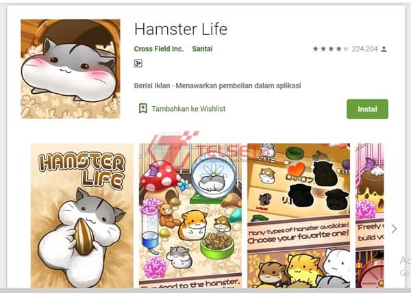 Hamster Life