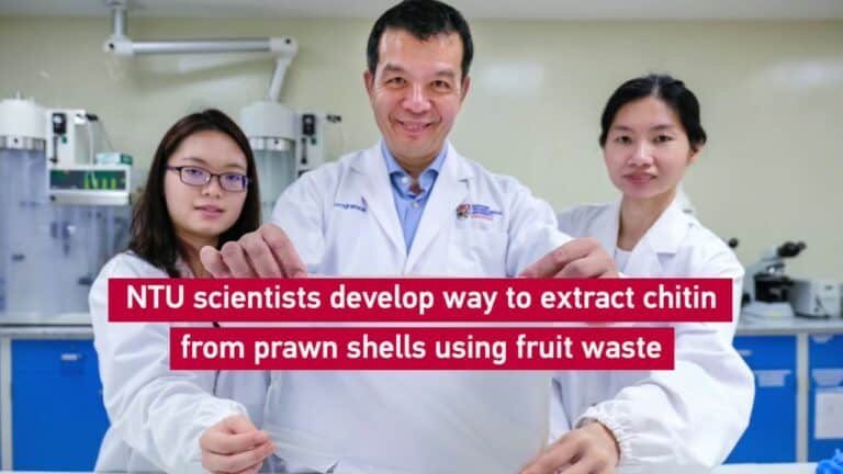Plastik ramah lingkungan
