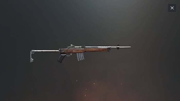 Mini 14