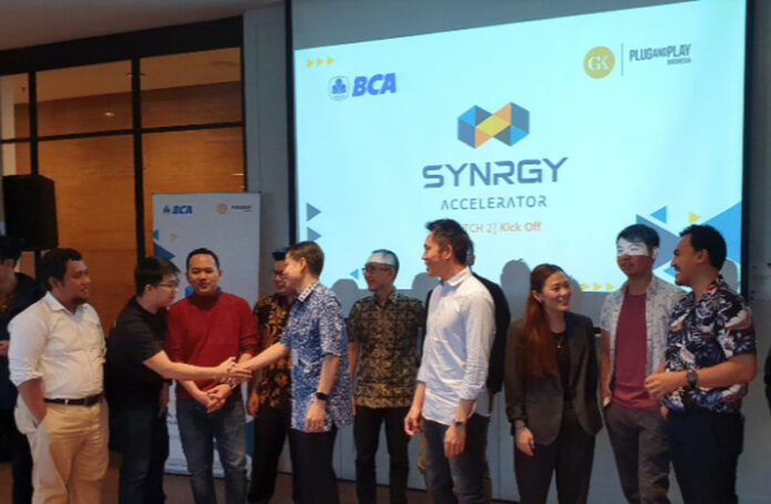 SYNRGY Accelerator Batch 3