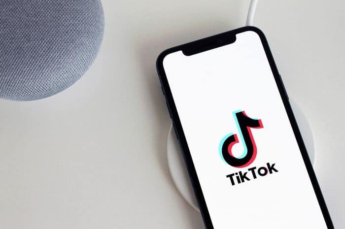 TikTok Hapus Video