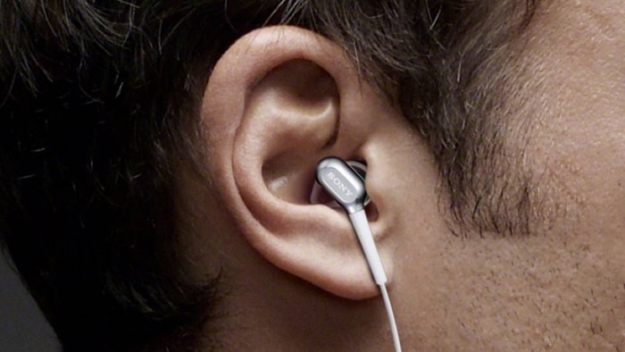 Tips Earphone