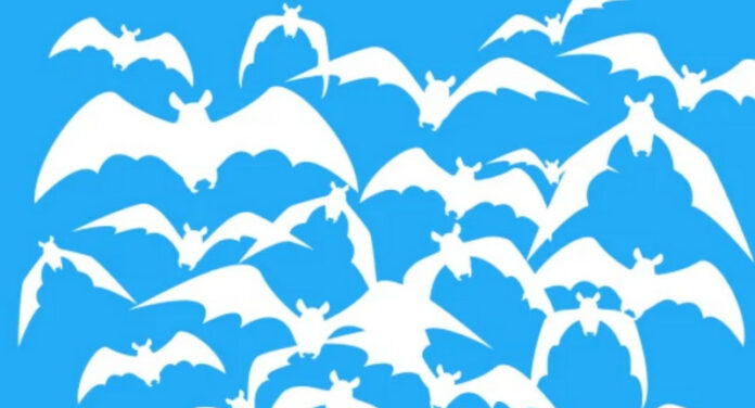 Twitter Botnet Dracula