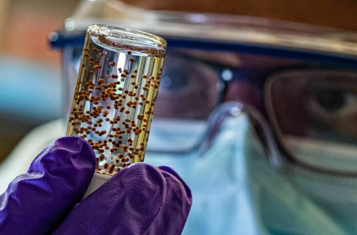 Komplikasi Serangan Jantung