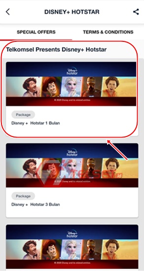 Daftar Akun dan Langganan Disney+ Hotstar 
