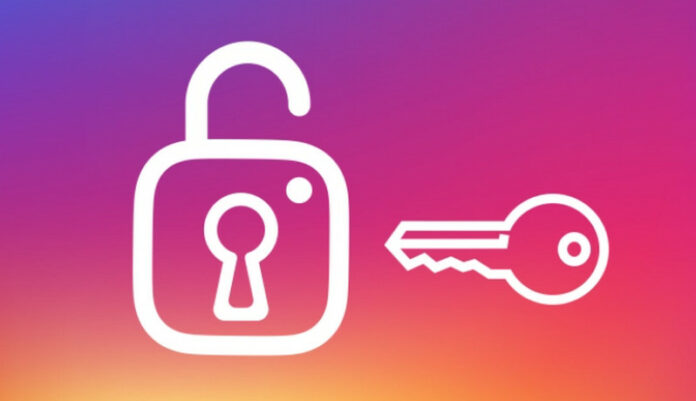 bug instagram