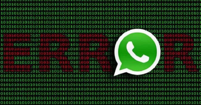 WhatsApp Error