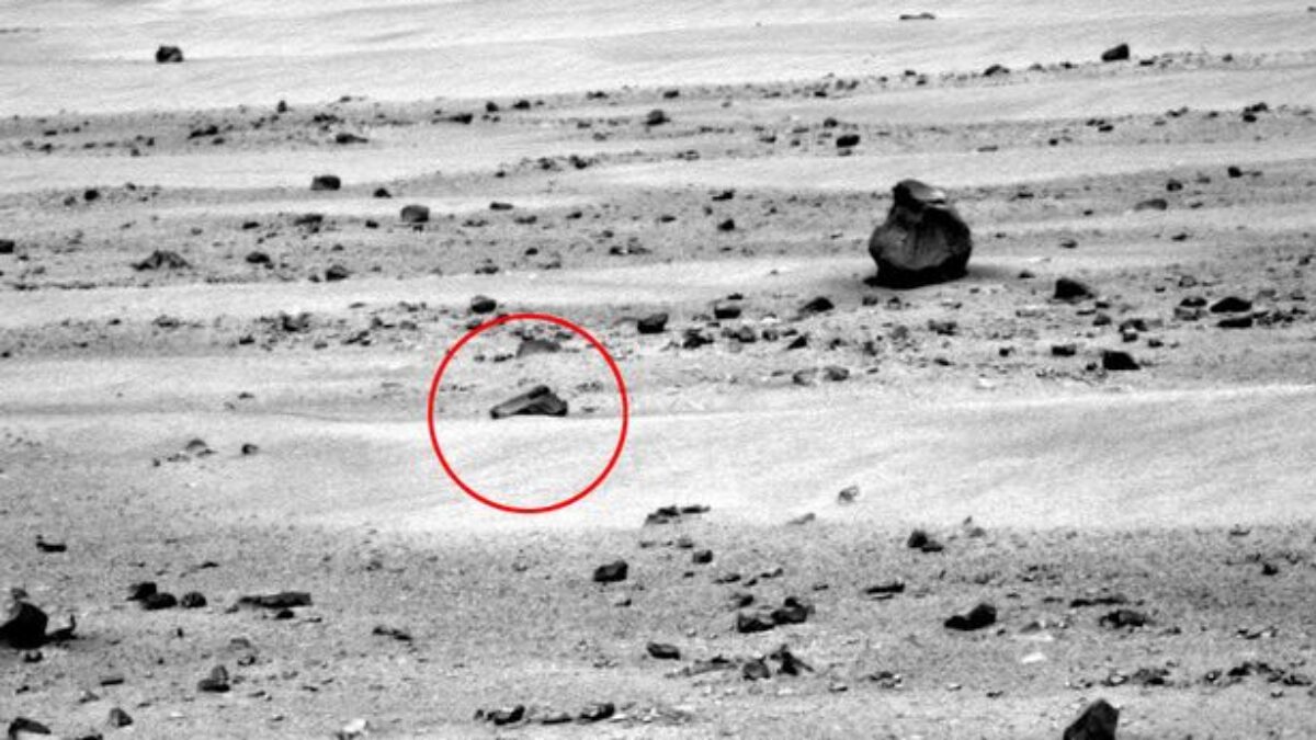 bukti keberadaan alien