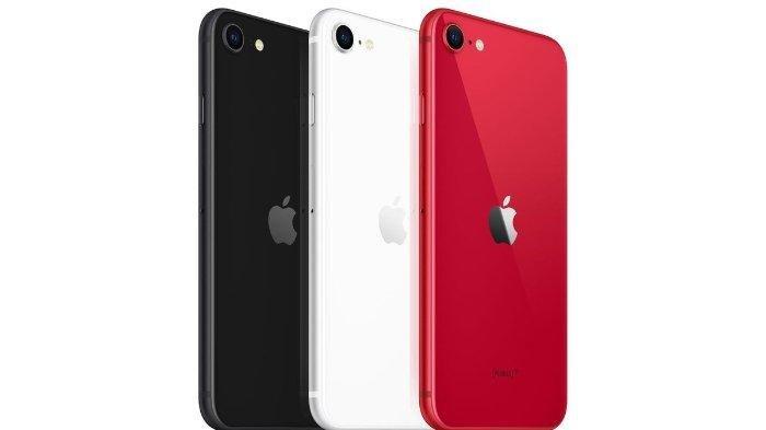 iPhone SE