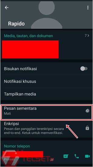 Pesan Sementara WhatsApp