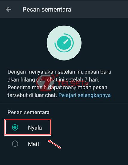Pesan WhatsApp terhapus otomatis