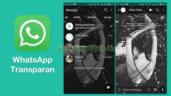 WhatsApp MOD APK Android iOS WhatsApp Transparan