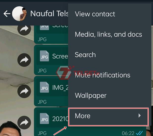 Cara Impor Chat WhatsApp ke Telegram