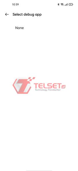 Manfaat Developer Options Android