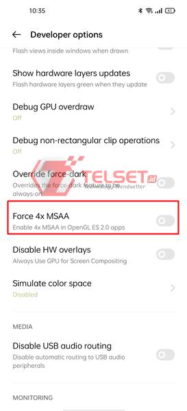fungsi opsi pengembang