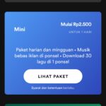 Spotify Premium Mini-1