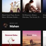 Spotify Premium Mini