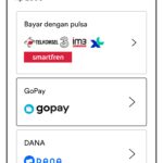 Spotify Premium Mini-3