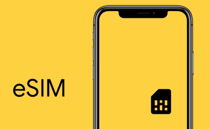Teknologi eSIM