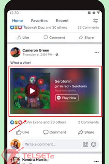 Fitur Miniplayer Spotify Facebook 