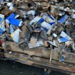 Vivo Maskapai Penerbangan Hong Kong