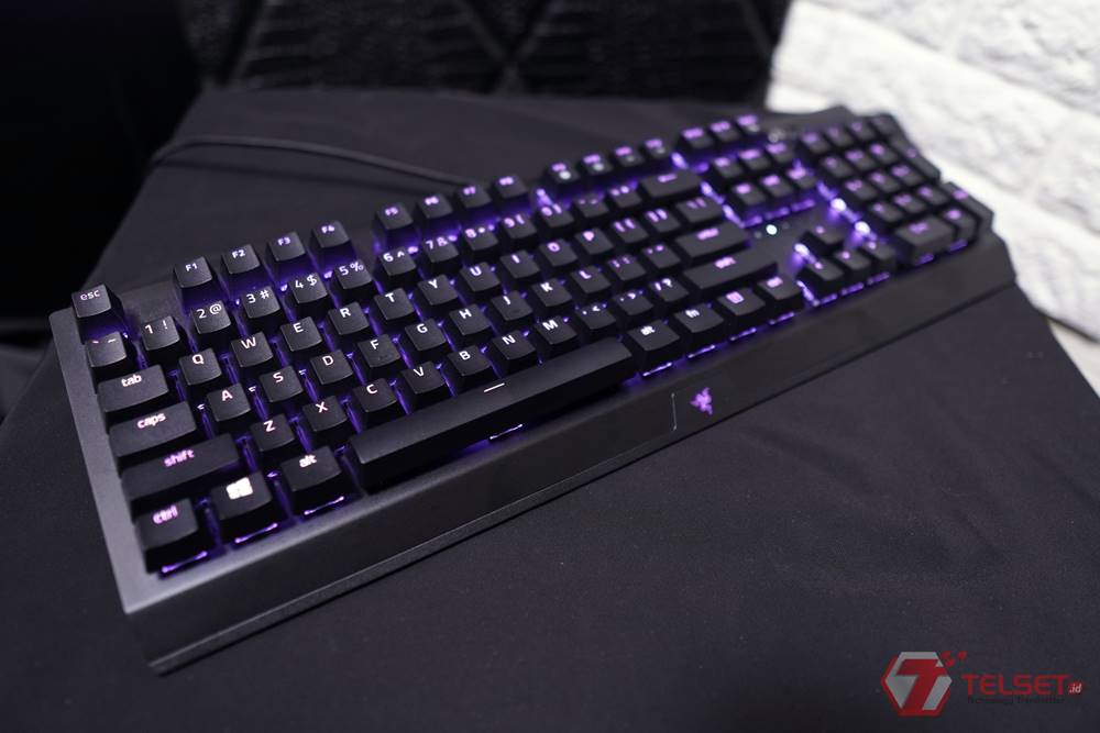 Review Razer Blackwidow V3