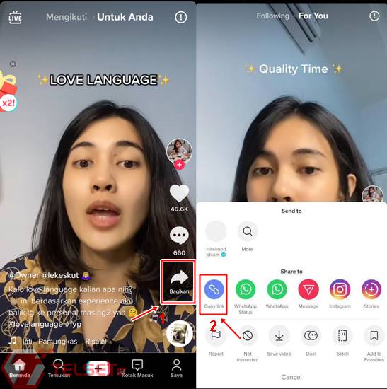Download Video TikTok