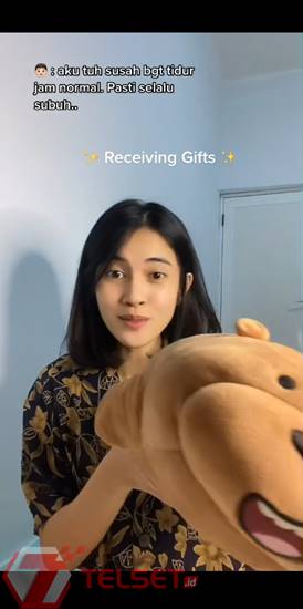 Download Video TikTok