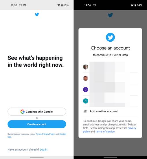 Login Twitter Google