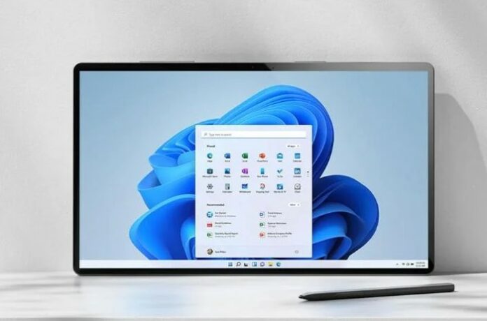 Windows 11 Palsu