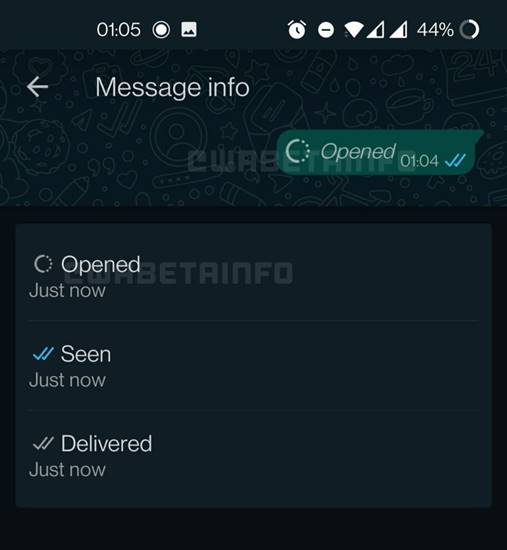 Fitur WhatsApp View Once
