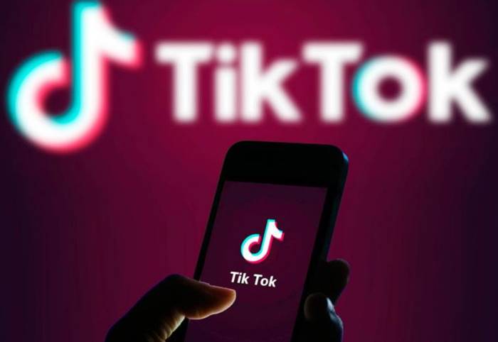 fitur keamanan tiktok