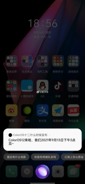 Update ColorOS 12