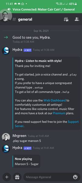 Cara Menggunakan Bot Musik Discord