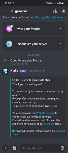 Cara Menggunakan Bot Musik Discord