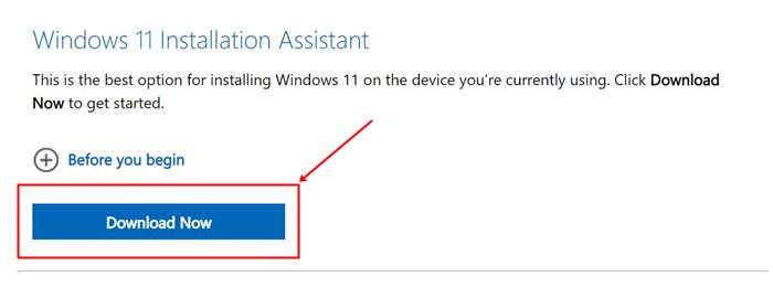 Windows 11