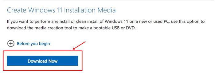 Windows 11