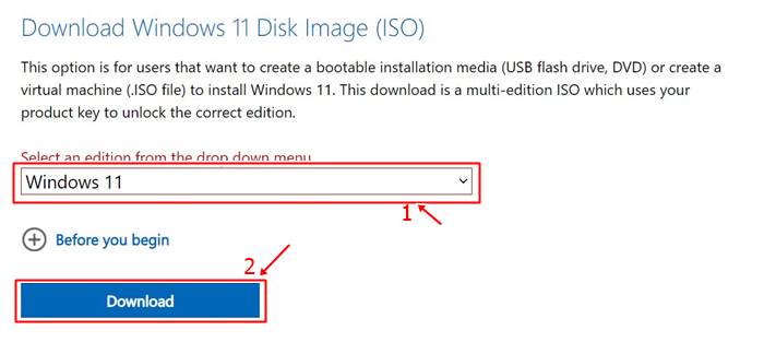 Windows 11