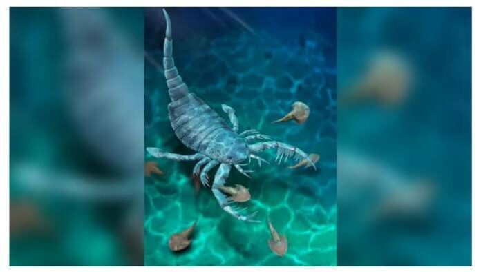 Kalajengking Laut Seukuran Anjing 2